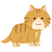 saitamaneko